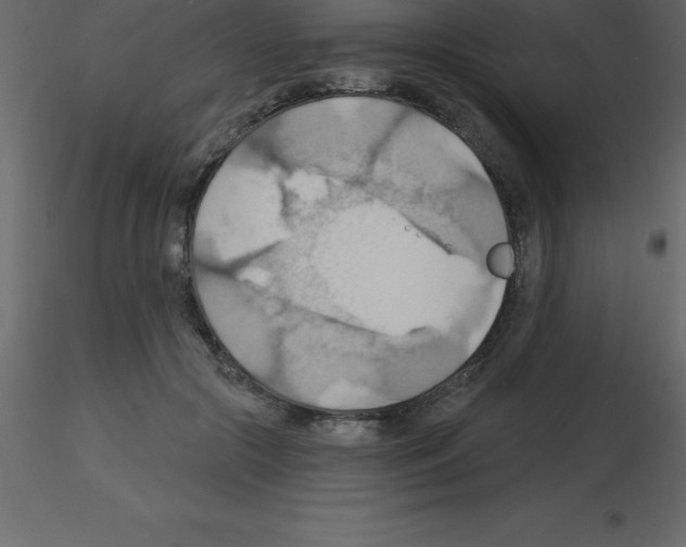 X0000115790553200912241834
