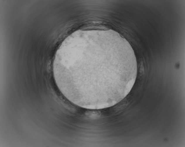 X0000115790559200912241834