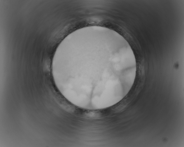 X0000115790561200912241834