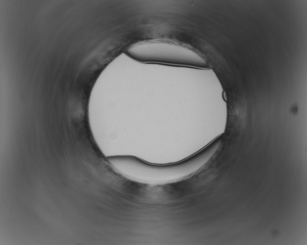 X0000115790566200912241834