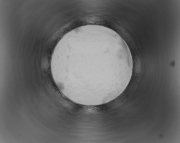 X0000115790569200912241834
