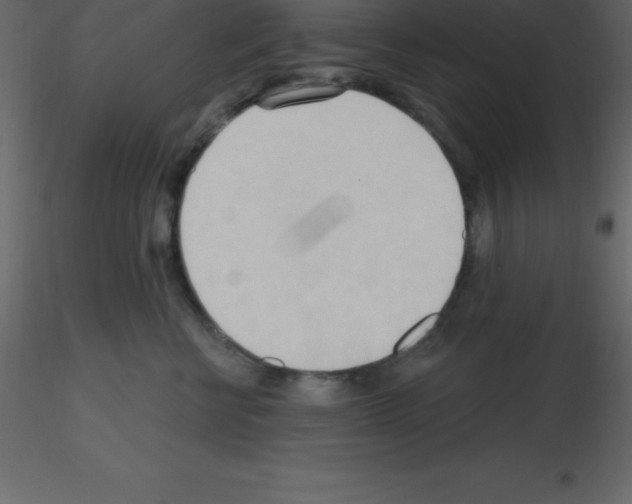 X0000115790570200912241834