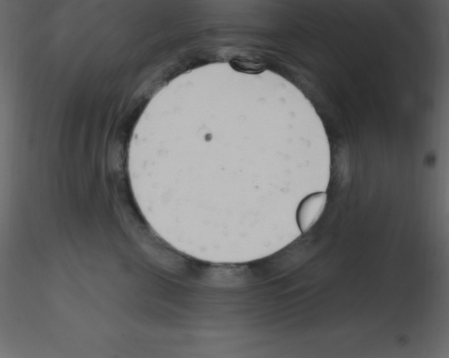 X0000115790571200912241834