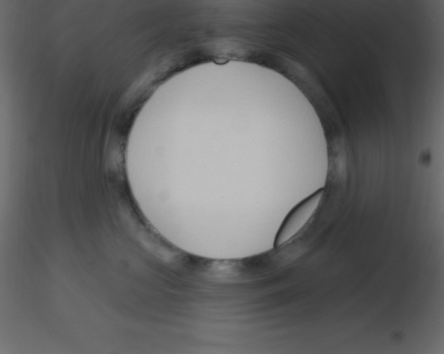 X0000115790573200912241834