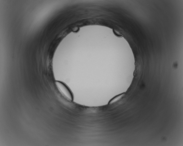 X0000115790574200912241834