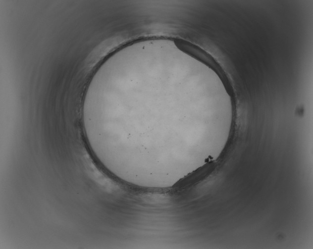 X0000115790577200912241833