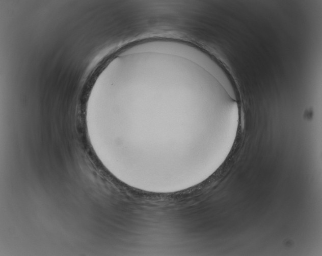 X0000115790579200912241833