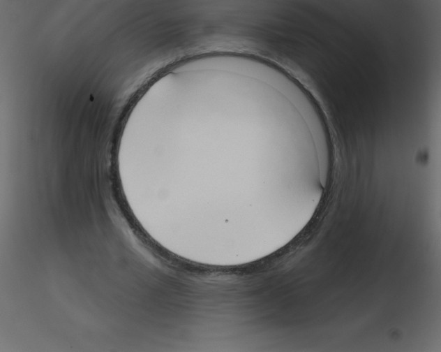 X0000115790581200912241833