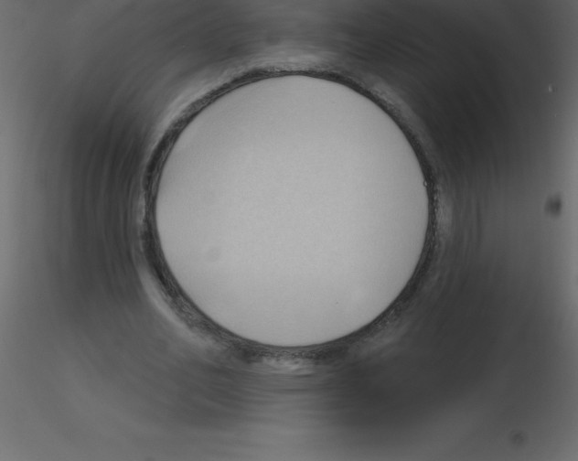 X0000115790582200912241833