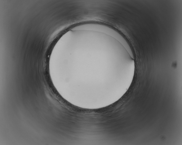 X0000115790583200912241833