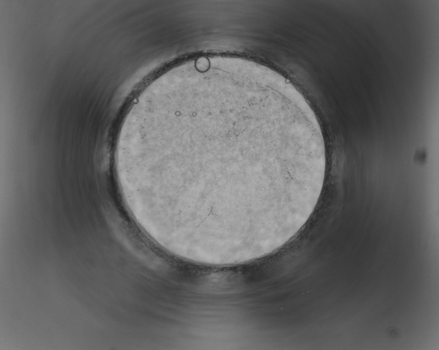 X0000115790584200912241833
