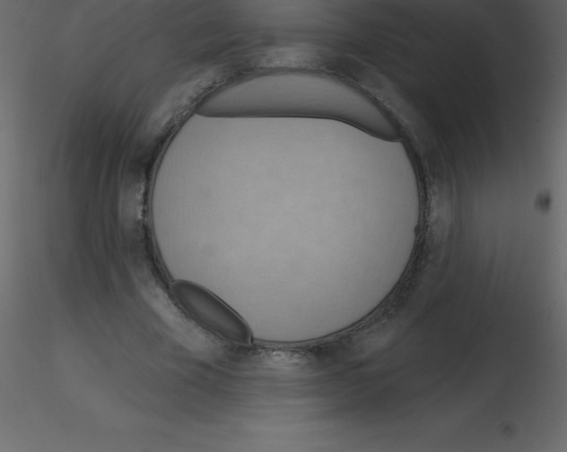 X0000115790585200912241833