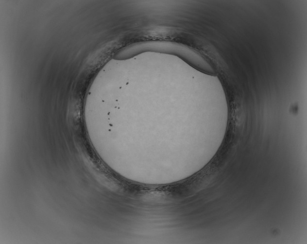 X0000115790593200912241833