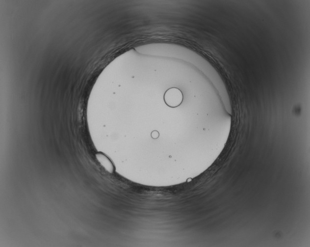 X0000115790597200912241833