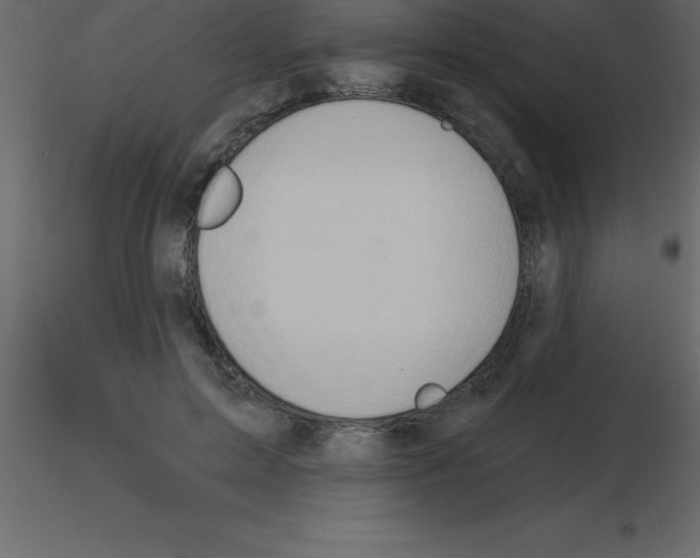 X0000115790599200912241833