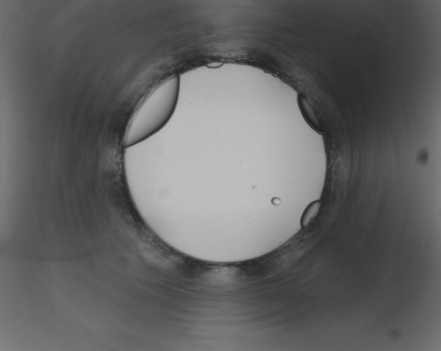 X0000115790609200912241833