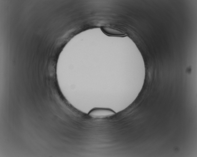 X0000115790620200912241833