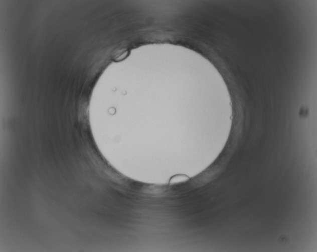 X0000115790624200912241833