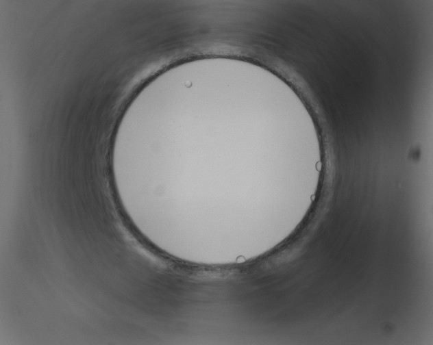 X0000115790625200912241832