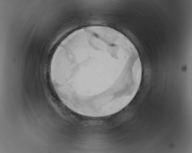 X0000115790626200912241832