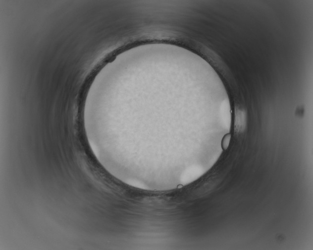 X0000115790627200912241832