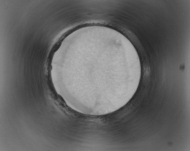 X0000115790628200912241832