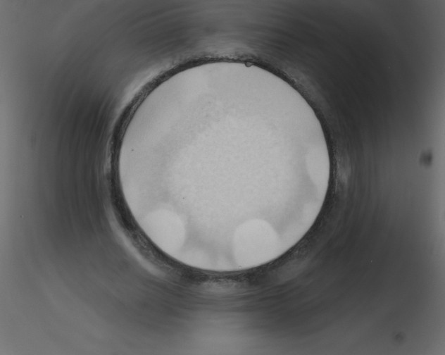 X0000115790630200912241832