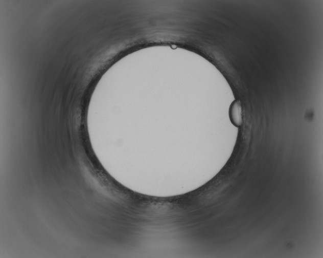 X0000115790631200912241832