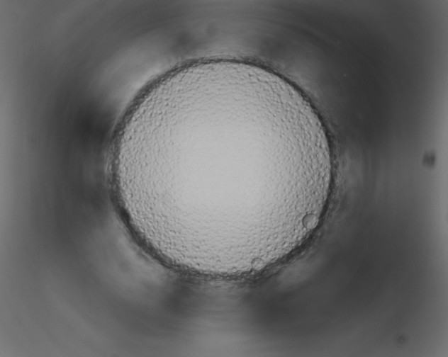 X0000115790632200912241832