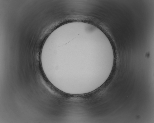 X0000115790633200912241832