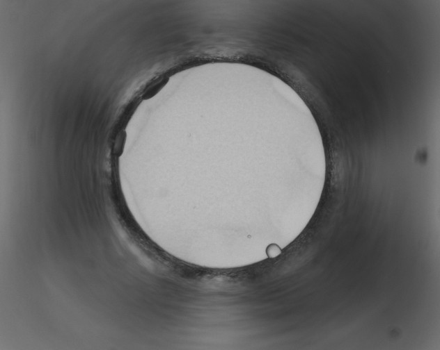 X0000115790634200912241832