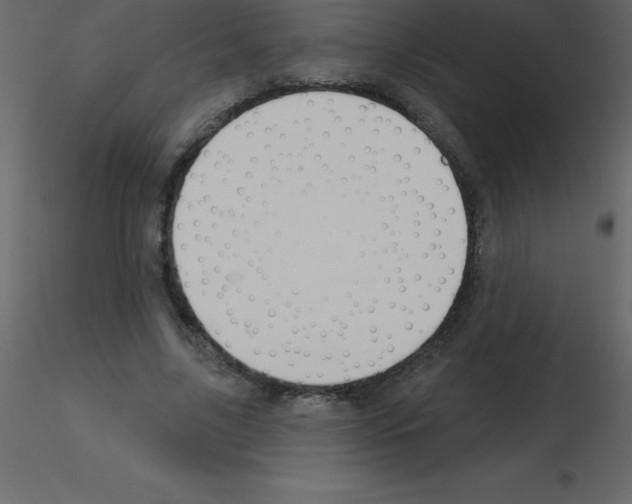 X0000115790635200912241832