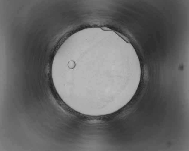 X0000115790637200912241832