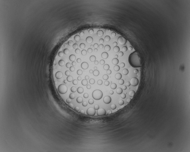 X0000115790638200912241832