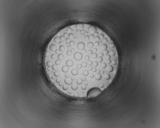 X0000115790639200912241832