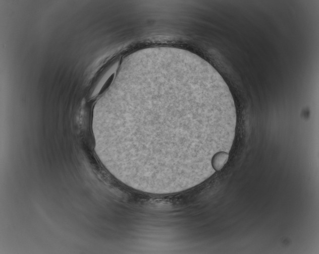 X0000115790640200912241832