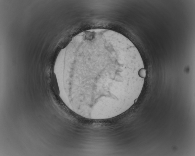 X0000115790641200912241832