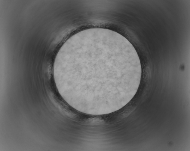 X0000115790644200912241832