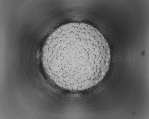 X0000115790646200912241832