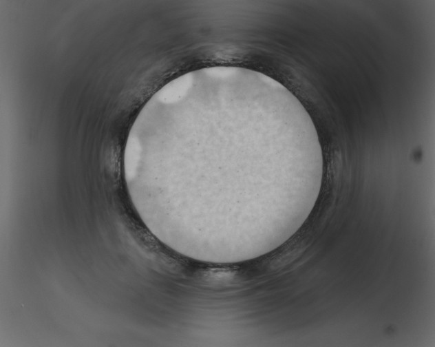 X0000115790651200912241832
