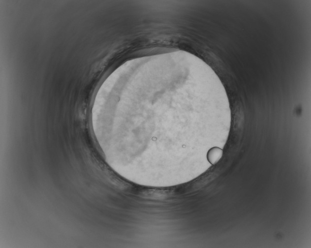 X0000115790661200912241833