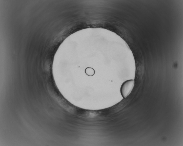 X0000115790662200912241833