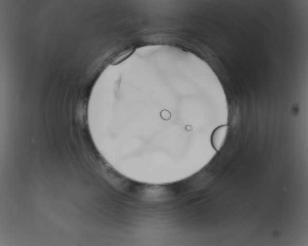 X0000115790669200912241833