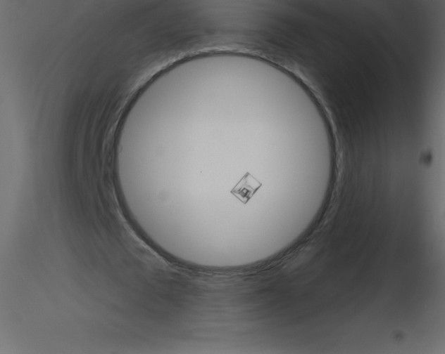 X0000115790673200912241832