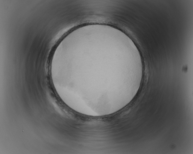 X0000115790674200912241832