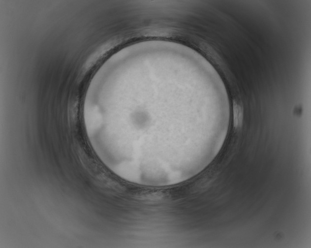 X0000115790675200912241832