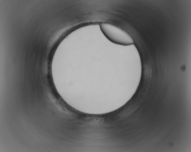 X0000115790676200912241832