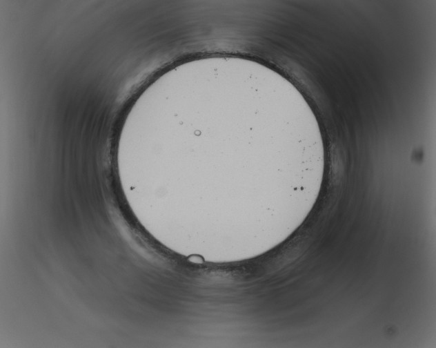 X0000115790677200912241832