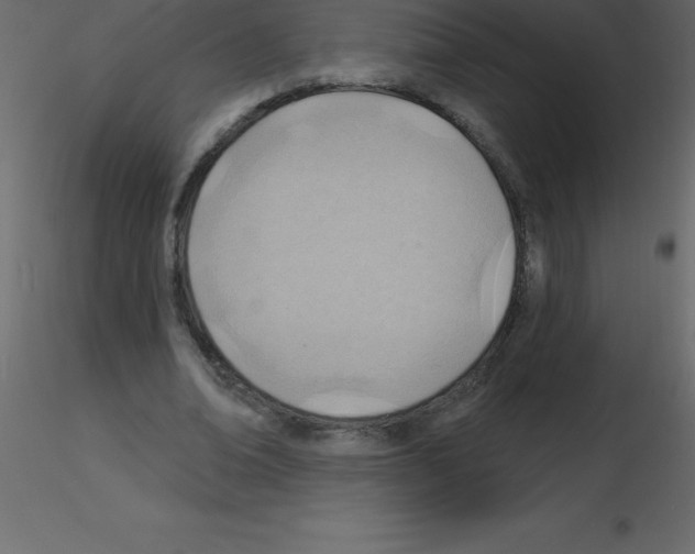 X0000115790678200912241832