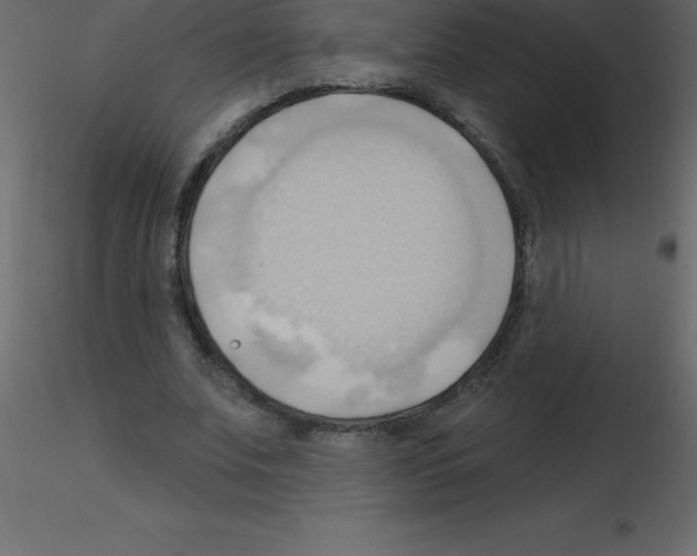 X0000115790679200912241832